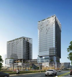 昆明呈贡科技信息产业创新孵化中心建设项目行政审批公示
