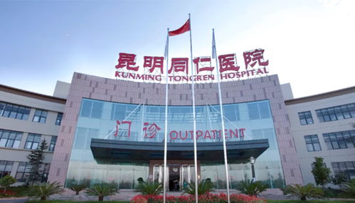 昆明科技新生态 网站建设到新媒体运营的一站式服务